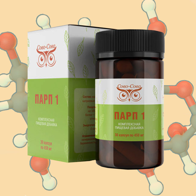 ПАРП-1 — поддержка клеточного обновления и ресурсов молодости