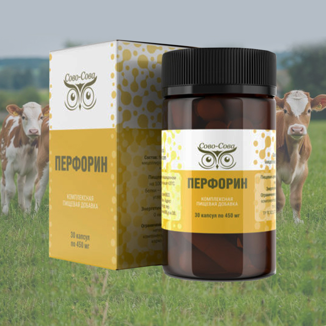 ПЕРФОРИН — «Безоперационная липосакция»