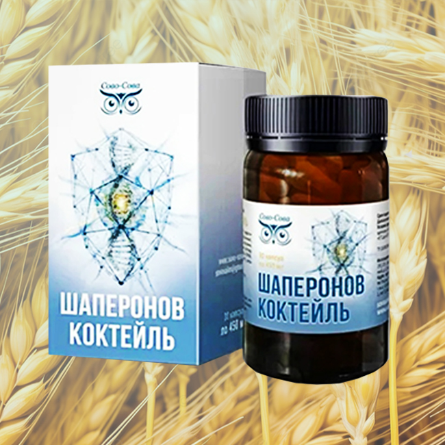 СИРОП АСАИ — продукт с высокой антиоксидантной и сосудистой направленностью